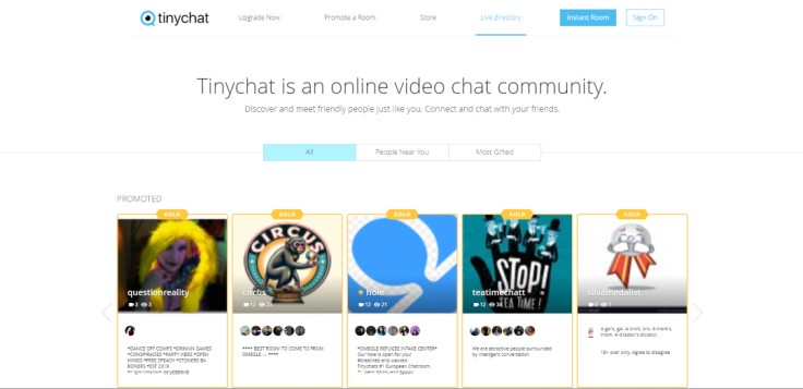 TinyChat