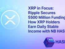 XRP in Focus