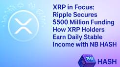 XRP in Focus