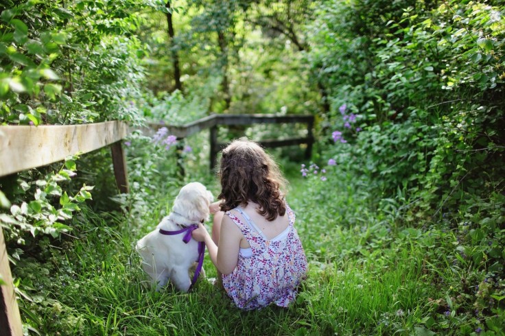 Using Pet Finding Apps to Save Your Lost Dog