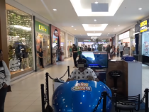 Fake Roller Coaster, Real Screams