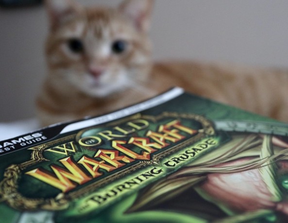 'WoW Burning Crusade Classic' Pre-Patch Guide: 2 Options to Transfer Character, Pro Tips and More